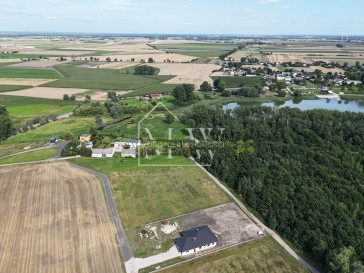 Działka Sprzedaż Łojewo